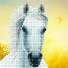 White Horse  - 0 